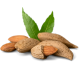 Almonds