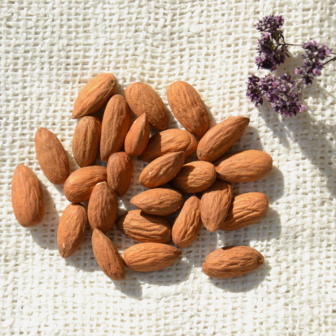 Almond Kernels (Blanched)